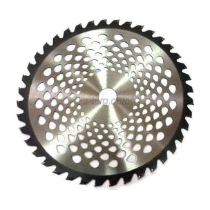 Disc motocoasă